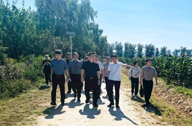 区委副书记岳立带队调研海淀区高标准农田建设,以智慧良田守护首都