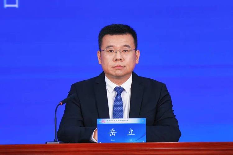 记者:海淀区委副书记 岳立青年是国家的未来,民族的希望,也是城市发展